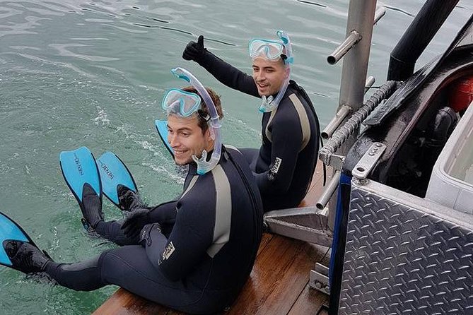 Snorkel, Kayak, and Seal Adventure: Vancouver Boat Tour - How the activity is arranged