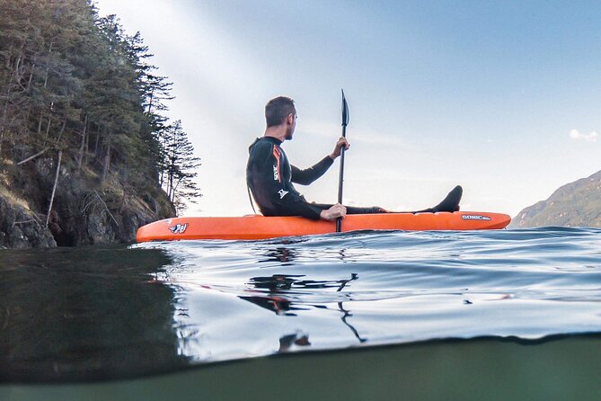 Snorkel, Kayak, and Seal Adventure: Vancouver Boat Tour - Is $105.10 a fair price?