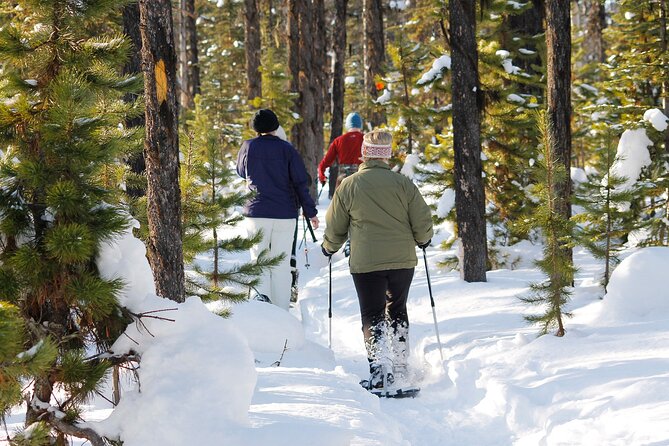 Snowshoeing At The Top Of The Sea To Sky Gondola - Crossing the Sky Pilot suspension bridge