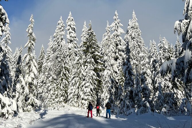 Snowshoeing At The Top Of The Sea To Sky Gondola - What the winter conditions mean for you