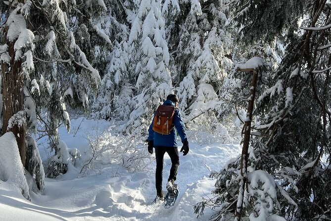Snowshoeing At The Top Of The Sea To Sky Gondola - How the $135 price measures up