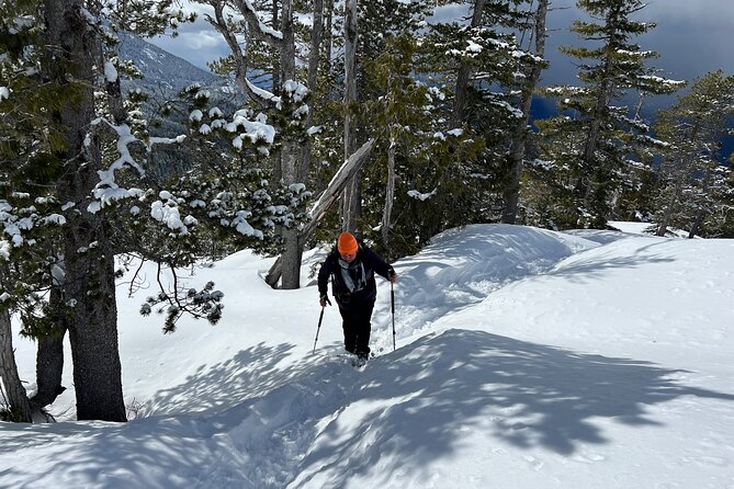Snowshoeing At The Top Of The Sea To Sky Gondola - The gondola ride above Howe Sound