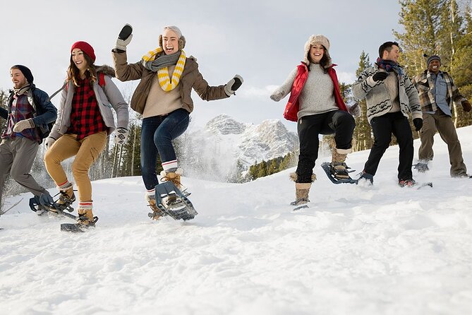 Snowshoeing in Kananaskis - Walking on top of the Kananaskis snowpack