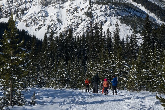 Snowshoeing in Kananaskis - Choosing the right time and preparing for Kananaskis weather