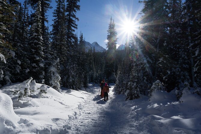 Snowshoeing in Kananaskis - Cancellation and booking details to weigh
