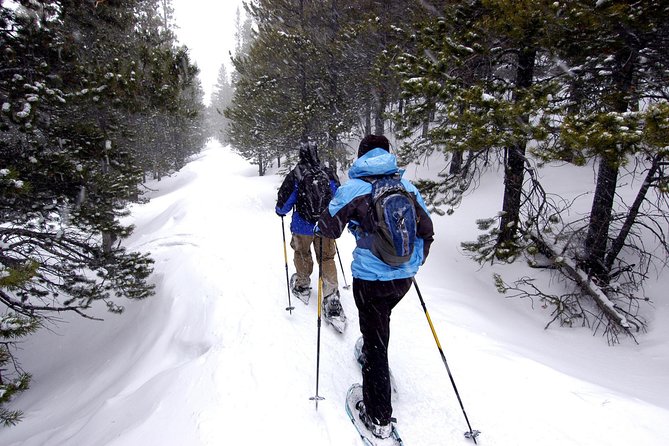 Snowshoeing Tour in Jacques-Cartier National Park - Why this winter day works so well from Quebec City
