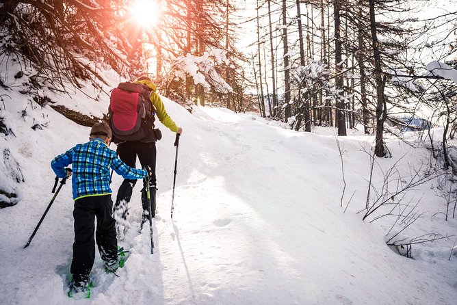 Snowshoeing Tour in Jacques-Cartier National Park - The 9am departure keeps the day simple