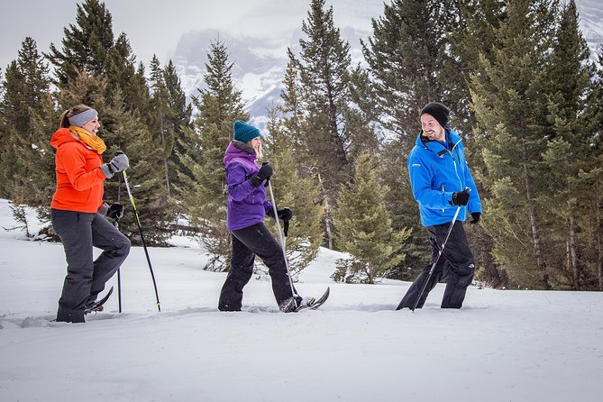 Snowshoeing Tour to the Paint Pots - How difficult is the snowshoeing?