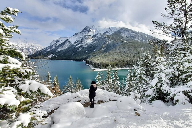 Spectacular Banff Day - Gondola Included - The Banff Gondola reaches Sulphur Mountain first