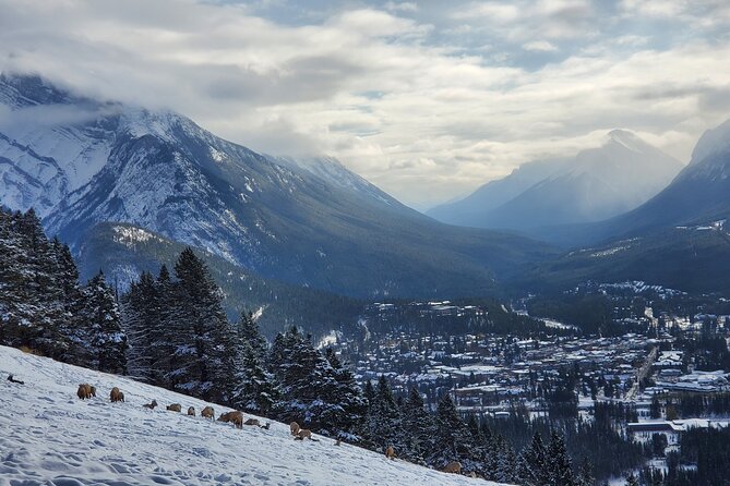 Spectacular Banff Day - Gondola Included - Banff Avenue gives you time to eat and wander