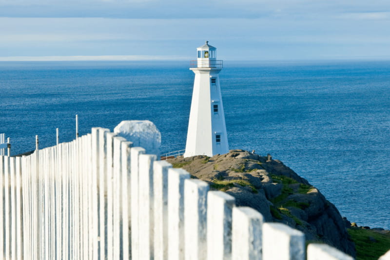 St John's Premium Driving Tour with Signal Hill & Cape Spear - Practical advice before you go