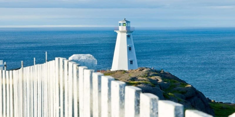 St Johns Premium Tour with Iceberg Quest Boat Cruise - Is $169 a fair price?