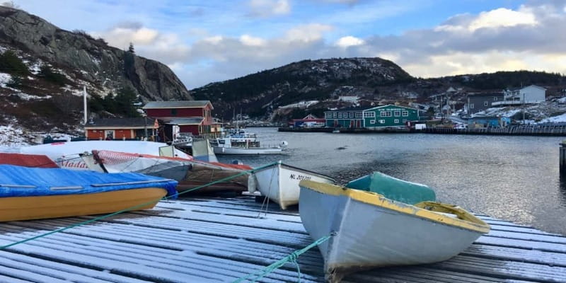 St Johns Premium Tour with Iceberg Quest Boat Cruise - Comfort, access, and weather planning