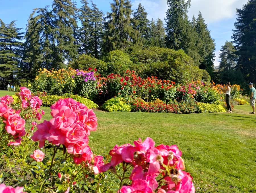 Stanley Park CarTour:SmallGroup/Comfort&CheaperThan BikeTour - Brockton Point Lighthouse and the statues