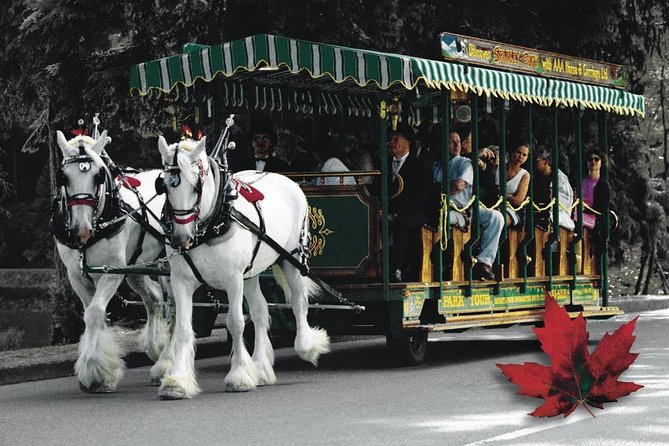 Stanley Park Horse Drawn Tour in Vancouver - Starting beside Coal Harbour and downtown Vancouver