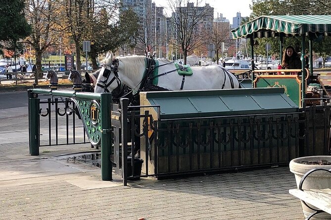 Stanley Park Horse Drawn Tour in Vancouver - The totem poles and the five-minute photo stop