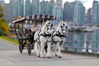 Stanley Park Horse Drawn Tour in Vancouver