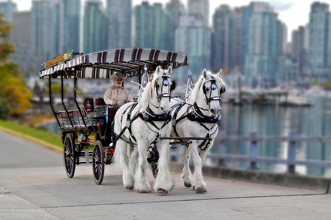 Stanley Park Horse Drawn Tour in Vancouver - Royal Vancouver Yacht Club and Deadman’s Island