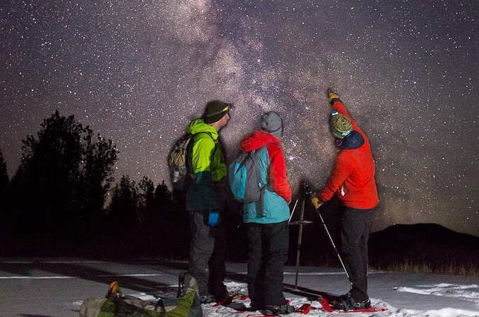 Stargazing Tour - Kananaskis After Dark - Reaching the open meadow