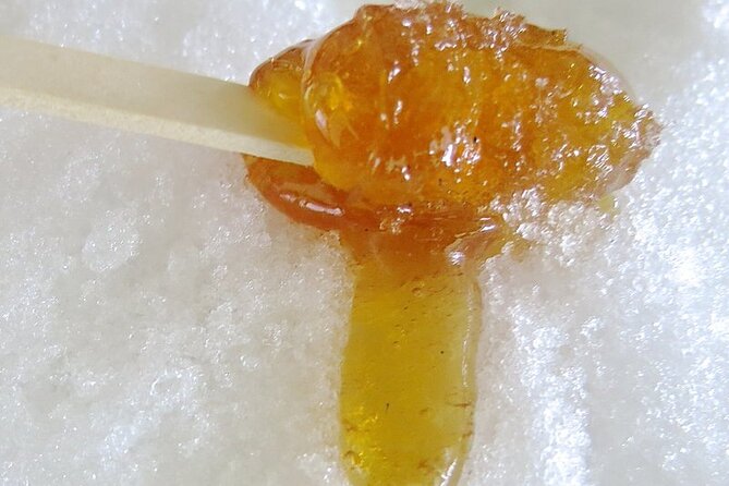 Sugar Shack Tour from Montreal - Should you book the Montreal sugar shack tour?