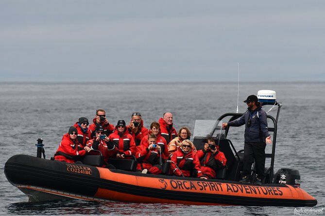 Summer Whale Watching Tour in a Zodiac Boat in Victoria - Race Rocks and its busy tidal waters