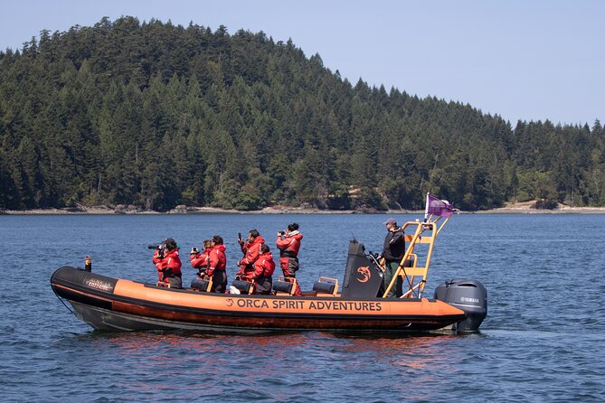Summer Whale Watching Tour in a Zodiac Boat in Victoria - Who will enjoy this tour most?