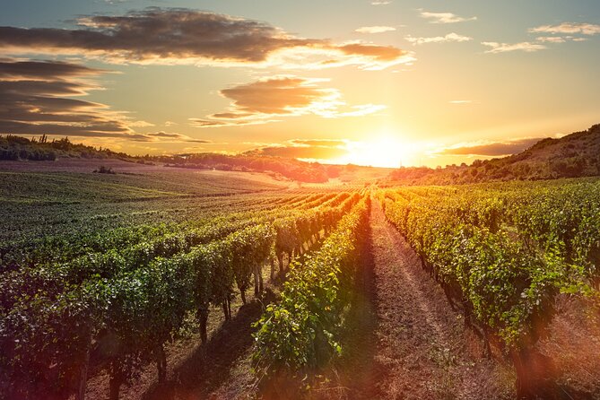Sunset Sip Wine Tour - Mt. Boucherie brings the best views and the evening meal
