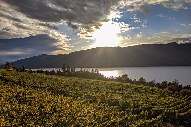 Sunset Sip Wine Tour - What the guides add to the experience