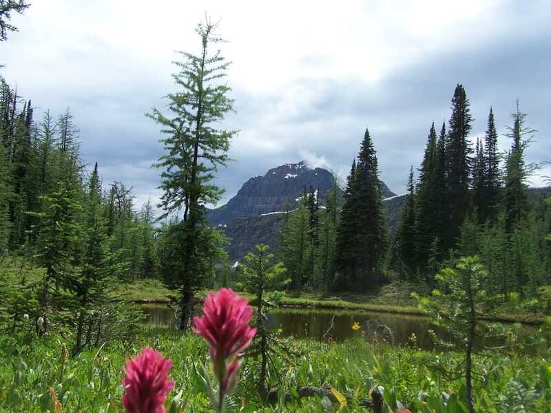 Sunshine Meadows Daily Guided Hike with Gondola - Booking, weather, and cancellation details