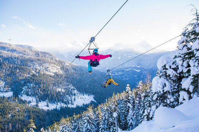 Superfly Ziplines on Cougar Mountain - includes 4 ziplines! - Key points to know before you book
