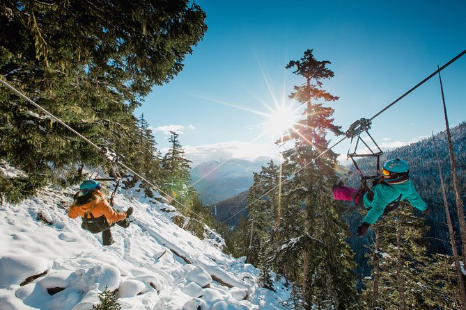 Superfly Ziplines on Cougar Mountain - includes 4 ziplines! - Four flights instead of one quick thrill