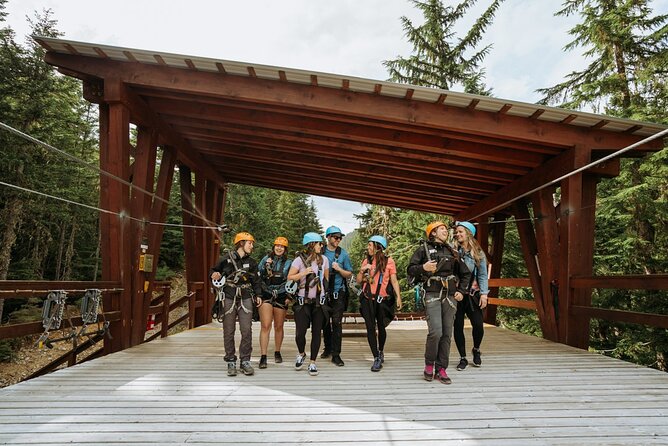 Superfly Ziplines on Cougar Mountain - includes 4 ziplines! - Why the dual cables are a major plus