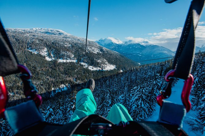 Superfly Ziplines on Cougar Mountain - includes 4 ziplines! - From the forest road to the launch platforms