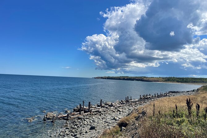 Sydney City & Coastline Tour - Fort Petrie: bunkers, artifacts, and harbour views