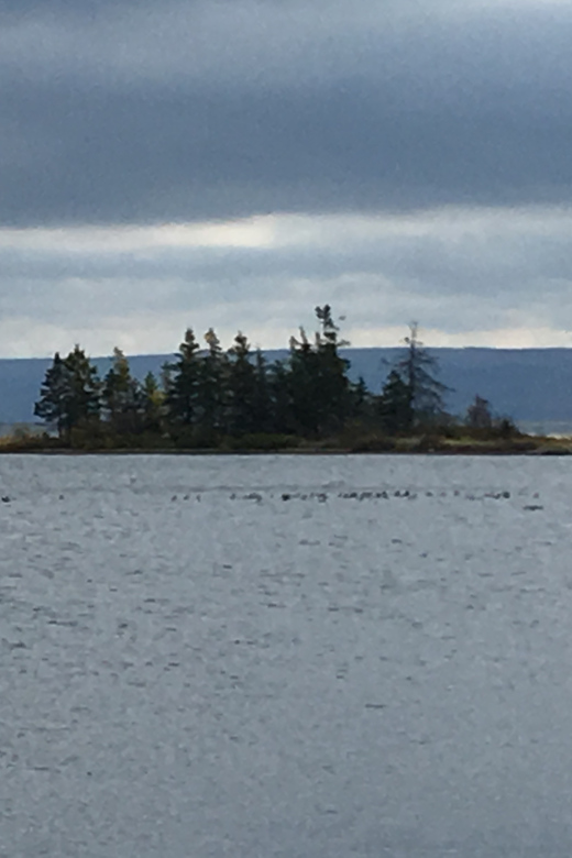 Sydney: Highland Village & Bell Museum Cruise Excursion - The drive around Bras d’Or Lakes