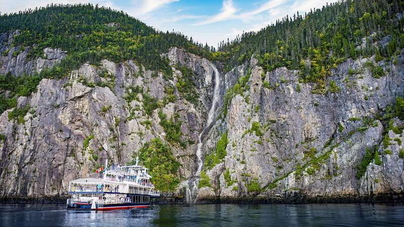 Tadoussac/Charlevoix: 3-Hour Whale Watching Boat Tour - VIP and Upper Deck options