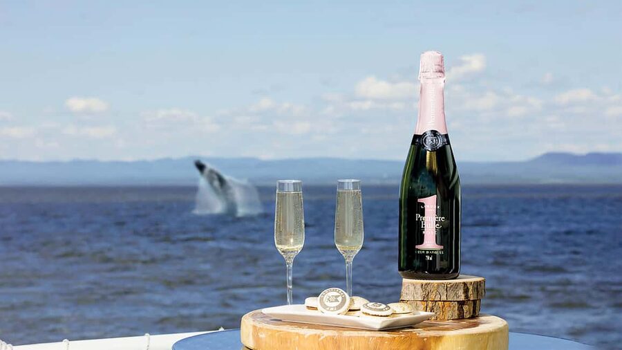 Tadoussac/Charlevoix: VIP Lounge OR UpperDeck Whale Watching - What the three-hour route includes