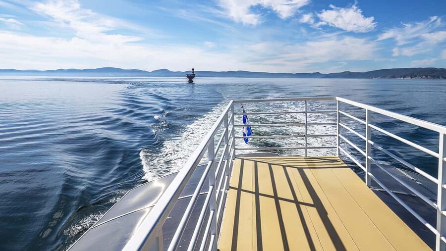 Tadoussac/Charlevoix: VIP Lounge OR UpperDeck Whale Watching - What you may actually see
