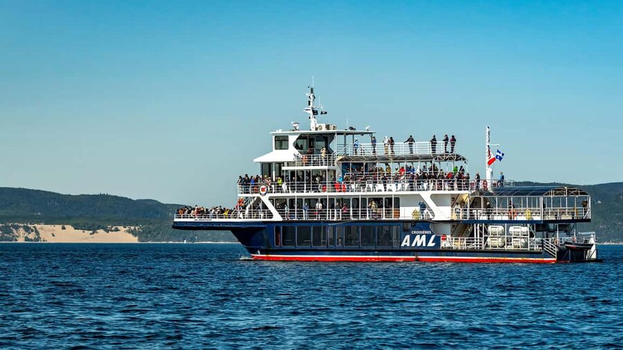 Tadoussac/Charlevoix: VIP Lounge OR UpperDeck Whale Watching - Comfort, safety, and conservation on board