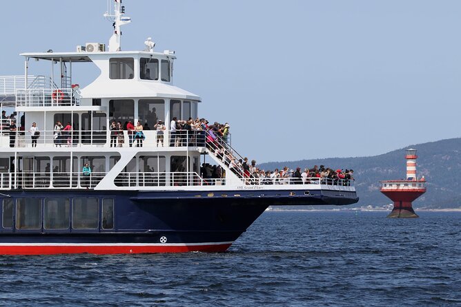 Tadoussac/Charlevoix: Whale Watching Tour - Tadoussac or Baie-Sainte-Catherine?