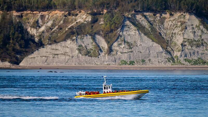 Tadoussac/Charlevoix: Whale Watching Tour & Bear Observation - What happens at Ferme 5 Étoiles