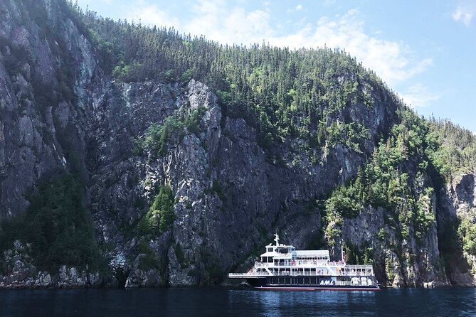 Tadoussac/Charlevoix: Whale Watching Tour - Choosing the Zodiac experience