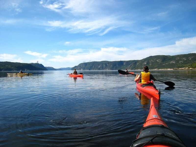 Tadoussac: Guided Sea Kayaking Adventure - Wildlife watching on the water