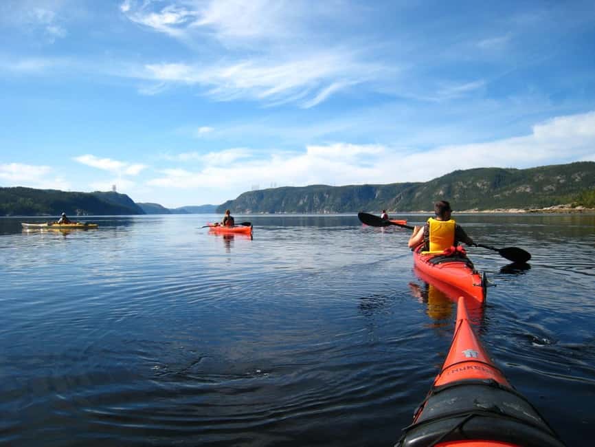Tadoussac: Guided Sea Kayaking Adventure - Timing, cancellation, and planning details