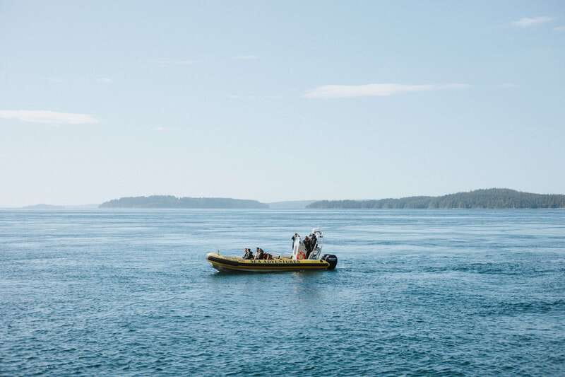 Telegraph Cove: 3-Hour Whale Watching Tour in a Zodiac Boat - Who should book this trip