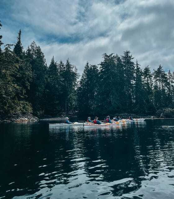 Telegraph Cove: Half-Day Kayaking Tour - How this compares with a full-day kayak trip