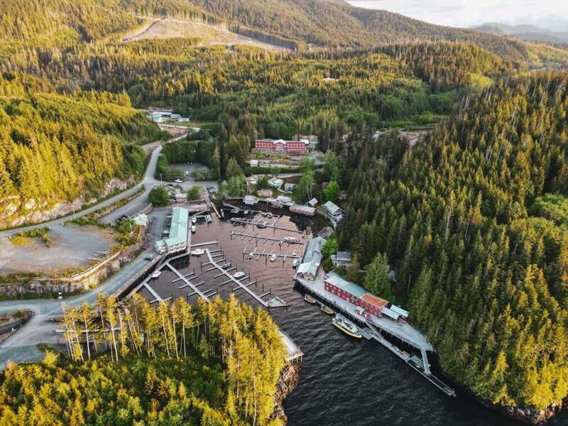Telegraph Cove: Half-Day Kayaking Tour - Should you book it?