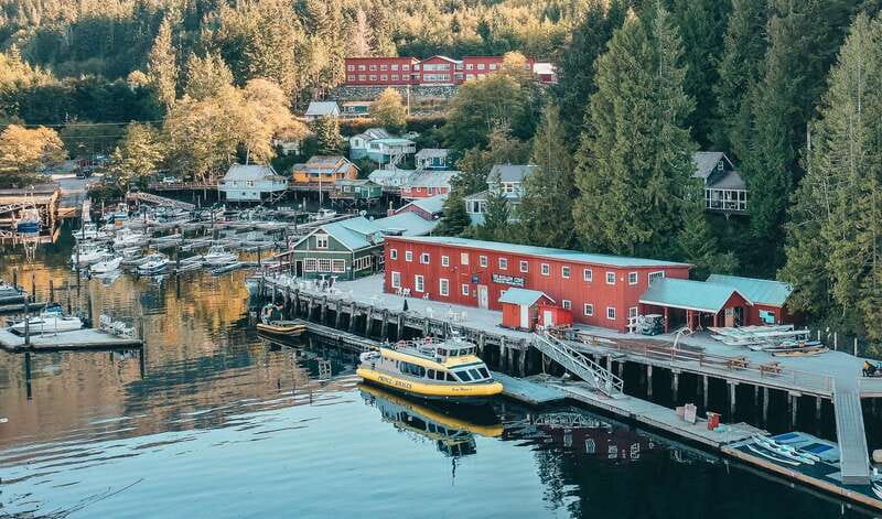 Telegraph Cove: Whale Watching Adventure with Free Photos - Tea, coffee, and the comfort factor