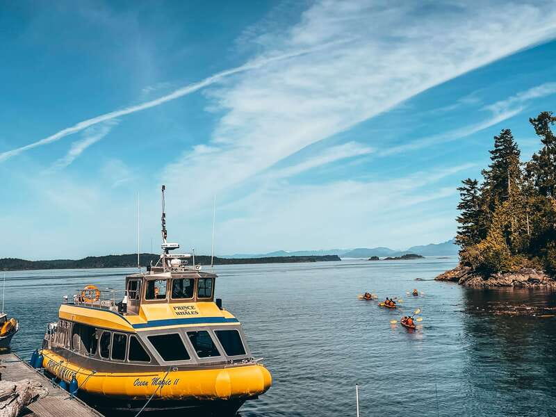 Telegraph Cove: Whale Watching Adventure with Free Photos - Is $149 a fair price?