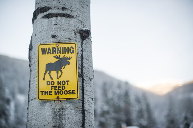 The BANFF NATURE Walk - 2hr Adventure - Who will enjoy this Banff walk